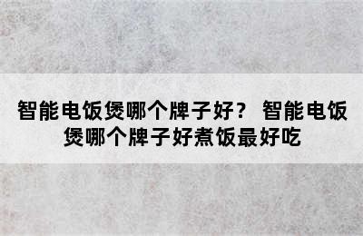 智能电饭煲哪个牌子好？ 智能电饭煲哪个牌子好煮饭最好吃